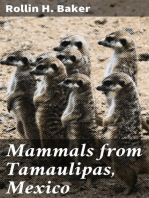 Mammals from Tamaulipas, Mexico