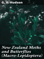 New Zealand Moths and Butterflies (Macro-Lepidoptera)