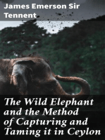 The Wild Elephant and the Method of Capturing and Taming it in Ceylon