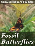 Fossil Butterflies: Memoirs of the American Association for the Advancement of Science, I