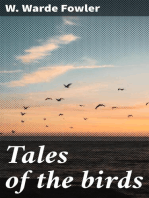 Tales of the birds