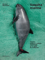 Vaquita marina: Ciencia, política y crimen organizado en el golfo de California