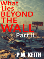 What Lies Beyond The Wall