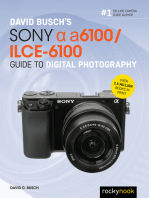 David Busch’s Sony Alpha a6100/ILCE-6100 Guide to Digital Photography