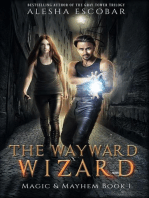 The Wayward Wizard: Magic and Mayhem, #1