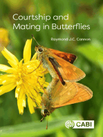 Courtship and Mating in Butterflies