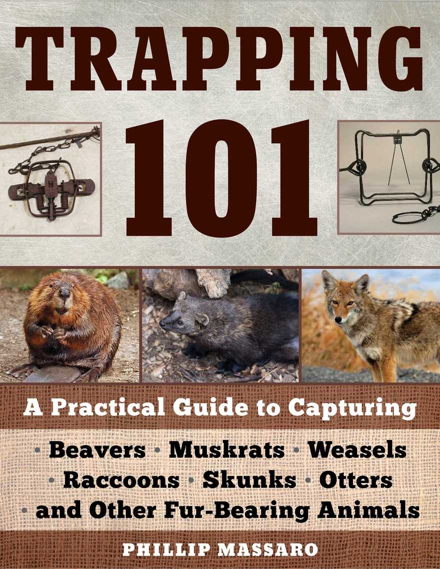 Trapping 101 by Philip Massaro - Ebook | Scribd