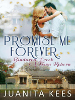 Promise Me Forever: Bindarra Creek A Town Reborn, #8