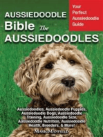 Aussiedoodle Bible and Aussiedoodles