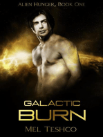 Galactic Burn