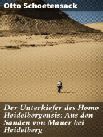 Der Unterkiefer des Homo Heidelbergensis: Aus den Sanden von Mauer bei Heidelberg