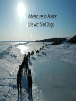 Adventures in Alaska: Life with Sled Dogs