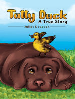 Tatty Duck: A True Story