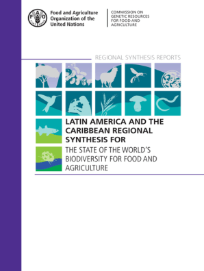 Latin America and the Caribbean Regional Synthesis for the State of the World’s Biodiversity for Food and Agriculture