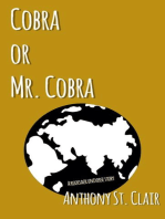 Cobra or Mr. Cobra