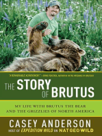 The Story of Brutus