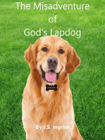 The Misadventure of God's Lapdog