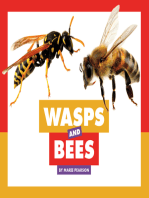 Wasps and Bees