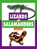 Lizards and Salamanders