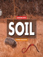 Looking Into Soil
