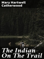 The Indian On The Trail