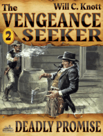 The Vengeance Seeker 2