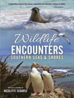 Wildlife Encounters: Southern Seas & Shores
