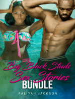 Big Black Studs Sex Stories Bundle