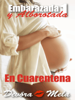 En Cuarentena. Embarazada y Alborotada 1