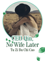 CEO Qin, No Wife Later: Volume 3