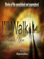 I'll Walk Beside You!