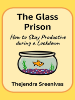 The Glass Prison: How to Stay Productive during a Lockdown
