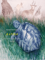 Rapido: die Geschichten einer kleinen Tortuga