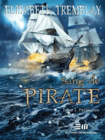 Sang de pirate Tome 3: Poursuites