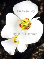 The Sego Lily