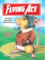 Flying Ace: Errol's Gander Adventure