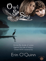 Owl and Sky