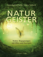 Naturgeister - Wahre Begegnungen mit Elfen und Zwergen