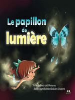 Le papillon de lumière