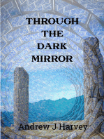 Through the Dark Mirror