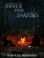 Hidden among Shadows