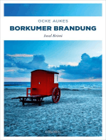 Borkumer Brandung: Insel Krimi