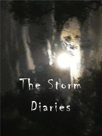 The Storm Diaries