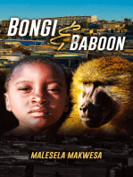 Bongi and Baboon