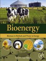 Bioenergy: Biomass to Biofuels and Waste to Energy