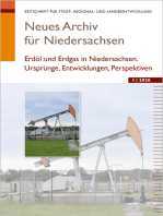 Neues Archiv für Niedersachsen 1.2020: Erdöl und Erdgas in Niedersachsen. Ursprünge, Entwicklungen und Perspektiven