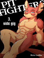 Pit Fighters 3. Side Gig
