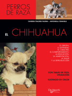 El chihuahua