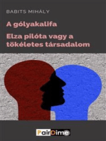 A gólyakalifa; Elza pilóta