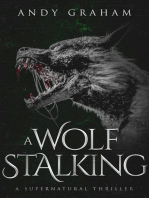 A Wolf Stalking